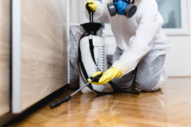Best Affordable Pest Control Services  in West Jefferson, NC
